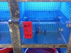 -鑫鸿达·海鲜闽菜热炒小馆(中山路店)
