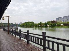 -八大山人梅湖景区