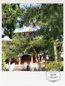 景山公园-"带着新欢旧爱来景山牡丹冰棍,顺便赏郁金香.