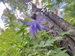 -白草畔自然风景区