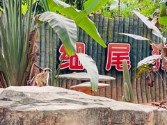 -深圳野生动物园