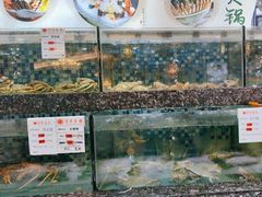 -宝燕壹号(徐汇店)