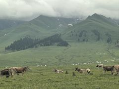 -新疆那拉提国家旅游度假区