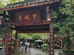 -青城甲(青城山店)