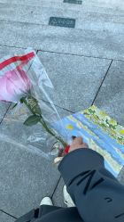 -北京新世纪妇幼医院·产检·分娩·计生(望京院区)