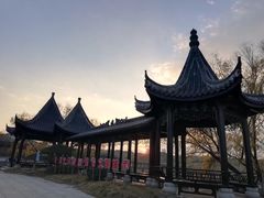 -八大山人梅湖景区