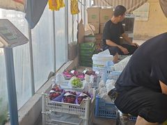 -马陆小张葡萄园农家乐