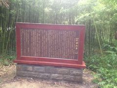 -黄海国家森林公园