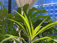 -太守宴·蘭院(天塔店)