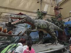 -国家自然博物馆