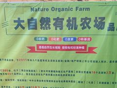 -大自然农场蔬菜草莓采摘园