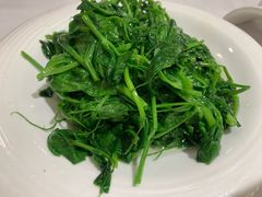 清炒豆尖-峨嵋酒家总店(车公庄店)