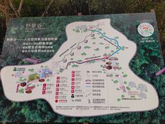 -野象谷景区