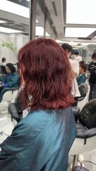 -潘多拉Hairsalon
