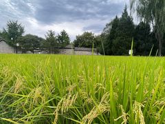 -北坞公园