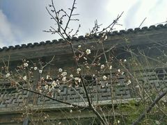 -尚贤河湿地