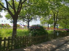 -上海都市菜园