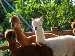 -珠海海泉湾度假区