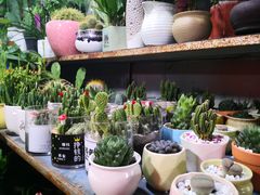 -大学城夜市大排档(凤栖路店)