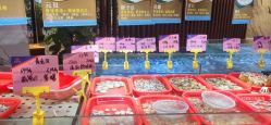 -金骏酒店·宴会厅(狮岭店)