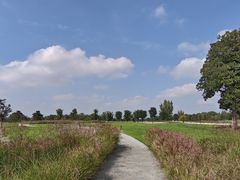 -汉长安城未央宫国家考古遗址公园