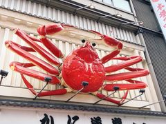 -蟹道乐(道顿堀本店)