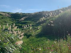 -东极岛景区