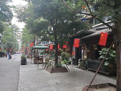 -泡桐树街