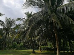 -白沙门生态公园