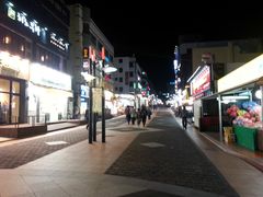 -宝健路步行街(Pedestrian Shopping Street)