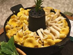 -季季山·云南野生菌火锅(上海首店)
