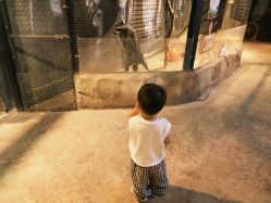 -酷嗒动物文化乐园(cutezoo西溪乐天城店)