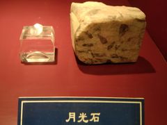 -中国地质大学逸夫博物馆