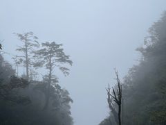 -峨眉山风景名胜区