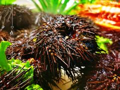 -开海·红岛海鲜虾水饺(石老人店)