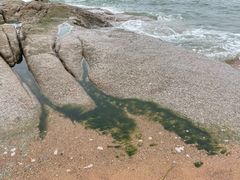 -日照灯塔风景区