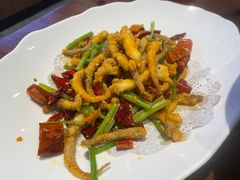 干煸鱿鱼须-渔家风味·鲅鱼水饺·央视展播·海鲜天津菜(开发区店)