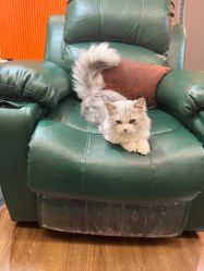 -情同手足美甲美睫