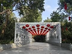 -深圳国际园林花卉博览园