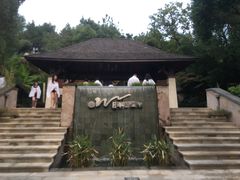 -天目湖涵田半山温泉