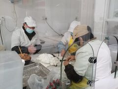 -古徽州馄饨店(宝安路店)