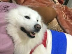 -申普宠物医院·眼科·心内科·影像科(普陀分院)