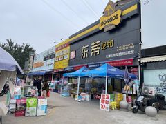 -中环花鸟鱼虫市场