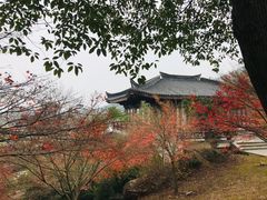 -孙武文化园-停车场