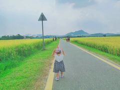 -光明小镇欢乐田园