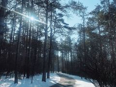 -长春净月潭风景名胜区