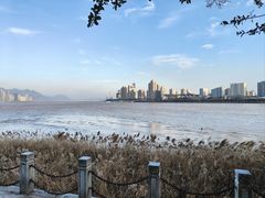 -江心屿景区