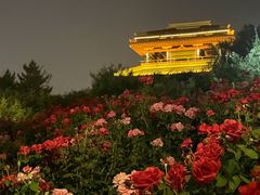 -桃花岛公园