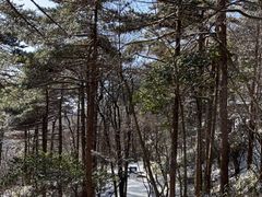 -黄山风景区