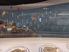 -盐城丹顶鹤湿地生态旅游区